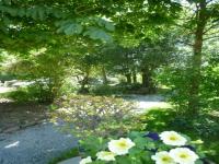 Location de particuliers � particuliers LA BELLE VERTE CHAMBRES D'HOTES PORNIC Label �cogite et Accueil V�lo Chambres d'hotes Loire Atlantique photo 10