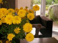 Location de particuliers � particuliers G�te de Cathy G�te Meurthe et Moselle photo 4