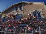 Location de particuliers � particuliers Chambres d�H�tes 