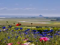 Location de particuliers � particuliers 