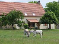 Location de particuliers � particuliers Location vacances puy de dome � la source du Barrage de Bort les Orgues  Location saisonni�re Puy de D�me photo 3