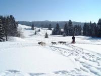 Location de particuliers � particuliers Ressourcez vous au calme de la nature blanche ou verte Location saisonni�re Jura photo 10