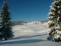 Location de particuliers � particuliers Ressourcez vous au calme de la nature blanche ou verte Location saisonni�re Jura photo 5