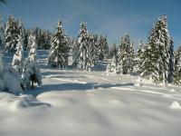 Location de particuliers � particuliers Ressourcez vous au calme de la nature blanche ou verte Location saisonni�re Jura photo 9