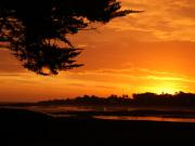 Location de particuliers � particuliers Villa La F'nouil : location de vacances sur l'�le d'Yeu Location saisonni�re Vend�e photo 12