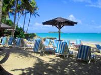 Location de particuliers � particuliers Guadeloupeiguanastudio Location saisonni�re Guadeloupe photo 10