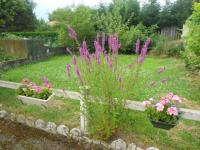 Location de particuliers � particuliers Chambres d'h�tes Chaponost A 15 minutes de Lyon Chambres d'hotes Rh�ne photo 2