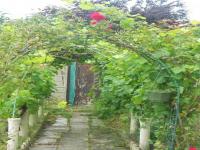 Location de particuliers � particuliers Chambres d'h�tes Chaponost A 15 minutes de Lyon Chambres d'hotes Rh�ne photo 3