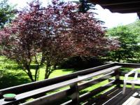 Location de particuliers � particuliers LE CHALET 74 vall�e du brevon,en pleine nature Chambres d'hotes Haute Savoie photo 5