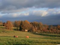 Location de particuliers � particuliers La Rolandie haute, beaux villages de France, au confluent de la Dordogne et de la V�z�re Chambres d'hotes Dordogne photo 9