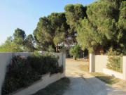 Location de particuliers � particuliers   Grand gite pour 15 pers pr�s de Collioure � Saint-Cyprien Location saisonni�re Pyr�n�es Orientales photo 15