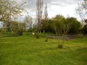 Location de particuliers � particuliers Au passage des grues,  cadre reposant et verdoyant Chambres d'hotes Marne photo 9