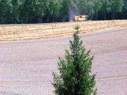 Location de particuliers � particuliers G�te 4personnes DANS UNE M�TAIRIE DE CARACT�RE : PISCINE AU SEL + WIFI G�te Gers photo 10