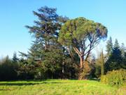 Location de particuliers � particuliers G�te 4personnes DANS UNE M�TAIRIE DE CARACT�RE : PISCINE AU SEL + WIFI G�te Gers photo 11