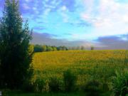 Location de particuliers � particuliers G�te 4personnes DANS UNE M�TAIRIE DE CARACT�RE : PISCINE AU SEL + WIFI G�te Gers photo 12