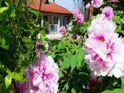 Location de particuliers � particuliers G�te 4personnes DANS UNE M�TAIRIE DE CARACT�RE : PISCINE AU SEL + WIFI G�te Gers photo 3