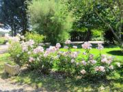 Location de particuliers � particuliers G�te 4personnes DANS UNE M�TAIRIE DE CARACT�RE : PISCINE AU SEL + WIFI G�te Gers photo 9