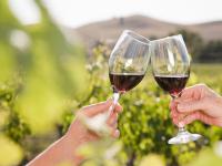 Location de particuliers � particuliers Les Chambres de Vincent, Entre Pont du Gard et Palais des Papes Chambres d'hotes Gard photo 9