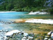 Location de particuliers � particuliers Chambre d'h�tes Shad  -  Barjac Gard  entre Gorges de l'Ard�che et Vall�e de la C�ze Chambres d'hotes Gard photo 9