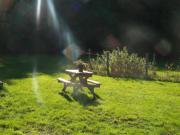 Location de particuliers � particuliers Cabanes insolites et glamping dans la foret de Darney Location insolite Vosges photo 5