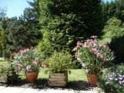 Location de particuliers � particuliers FIGEAC:Plain pied a la campagne avec piscine(possibilit� W.E)pr�s de figeac G�te Lot photo 5