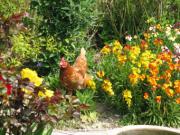 Location de particuliers � particuliers LOCATION DE MOBIL HOME PISCINE CHAUFFEE WIFI GRATUIT 