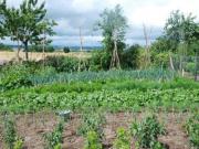 Location de particuliers � particuliers 