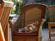 Location de particuliers � particuliers 