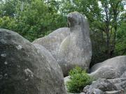 Location de particuliers � particuliers Village de Vacances Camboussel  au c�ur du Parc Naturel R�gional du Haut-Languedoc G�te Tarn photo 10