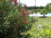 Location de particuliers � particuliers Le Moulin de Courlas B&B � 20min des Gorges de l'Ard�che Chambres d'hotes Gard photo 9