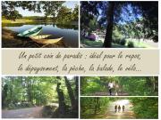 Location de particuliers � particuliers G�te de p�che ou de randon�e isol� en for�t et au bord de l'eau - Vend�e G�te Vend�e photo 3