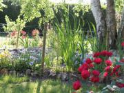 Location de particuliers � particuliers Les Logis du Breuil Entre Beauce et Perche Chambres d'hotes Eure et Loir photo 4