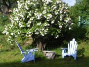Location de particuliers � particuliers LA BANNE SUD :PISCINE CHAUFFEE ET JACUZZI, Aux confins des trois P�rigords Chambres d'hotes Dordogne photo 5