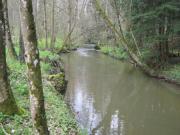 Location de particuliers � particuliers GITE de la FORGE proche Vosges, Celles sur Plaine, Lacs de Pierre-Perc�e, Vosges et Alsace G�te Meurthe et Moselle photo 9