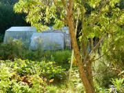 Location de particuliers � particuliers La girouardi�re Chambres d'hotes Sarthe photo 3