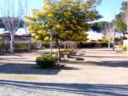 Location de particuliers � particuliers VILLA * 2CH rdc *COURSES ET PLAGE A PIED  G�te Pyr�n�es Orientales photo 6