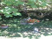 Location de particuliers � particuliers Gite st michel en drome des collines  piscine G�te Dr�me photo 7