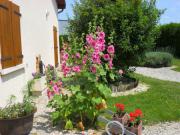 Location de particuliers � particuliers Chambres d'h�tes entre ville et campagne Chambres d'hotes Aube photo 11