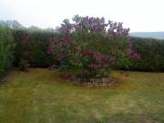 Location de particuliers � particuliers Chambres d'h�tes entre ville et campagne Chambres d'hotes Aube photo 8