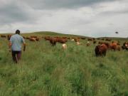 Location de particuliers � particuliers Maison r�nov�e avec �tang de PECHE Priv�e - ferme - WIFI offert Location saisonni�re Cantal photo 14