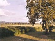 Location de particuliers � particuliers G�te de l'Andouette A proximit� de Vichy G�te Puy de D�me photo 9