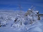 Location de particuliers � particuliers G�tes de la Pierre du Loup - Le Pinson Superbe vue panoramique G�te Haut Rhin photo 9