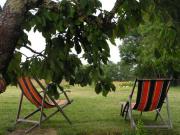 Location de particuliers � particuliers Les Hauts de Gaujac entre Bordeaux et Toulouse, Chambres d'hotes Lot et Garonne photo 8