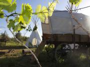 Location de particuliers � particuliers Eco Gite Tipis des oliviers entre les C�vennes, les �tangs de la Camargue, la m�diterran�e G�te H�rault photo 7