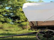 Location de particuliers � particuliers Eco Gite Tipis des oliviers entre les C�vennes, les �tangs de la Camargue, la m�diterran�e G�te H�rault photo 9