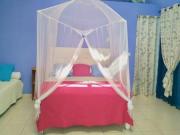 Location de particuliers � particuliers 2 CHAMBRES de charmes et table D'HOTES cr�ole Chambres d'hotes Guadeloupe photo 2