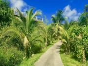 Location de particuliers � particuliers 2 CHAMBRES de charmes et table D'HOTES cr�ole Chambres d'hotes Guadeloupe photo 4