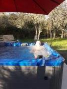 Location de particuliers � particuliers Ker Penfrat pointe du Finist�re, sur la presqu��le de Crozon Chambres d'hotes Finist�re photo 10