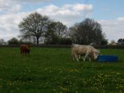 Location de particuliers � particuliers Appartement/G�te dans l'Allier G�te Allier photo 10