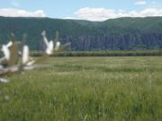 Location de particuliers � particuliers Maison d'h�tes le jas vieux dans le Val de Durance, Chambres d'hotes Alpes de haute provence photo 10